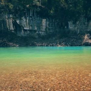 Meet your Posher, Alivia